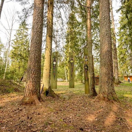 Hotel Taevaskoja Salamaa Põlva Exteriér fotografie